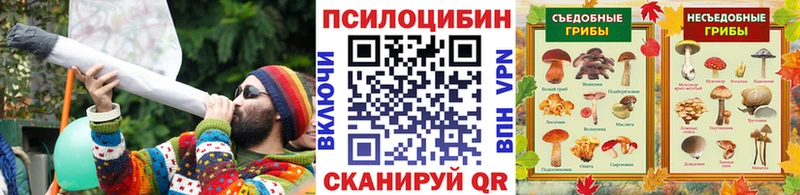 закладки  Менделеевск  Псилоцибиновые грибы GOLDEN TEACHER 